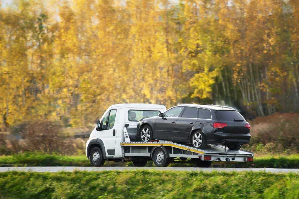 Who Offers the Best Car Removal Orewa Service?